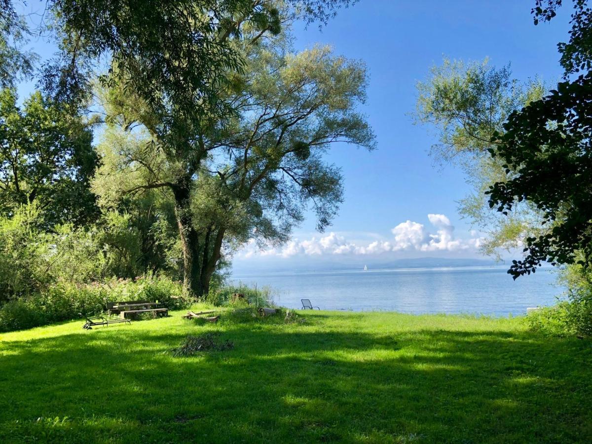 Apartment Ferien-apartment Silberweide Mit Privatstrand *