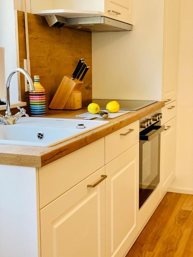 Apartment Ferien-apartment Silberweide Mit Privatstrand Friedrichshafen