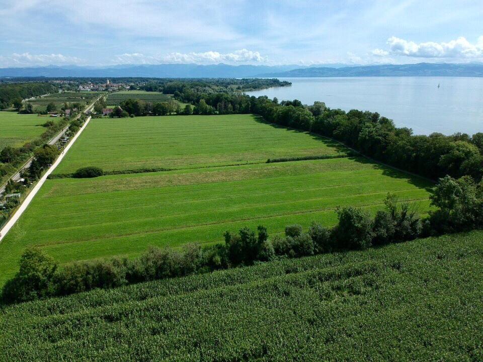 Apartment Ferien-apartment Silberweide Mit Privatstrand Friedrichshafen